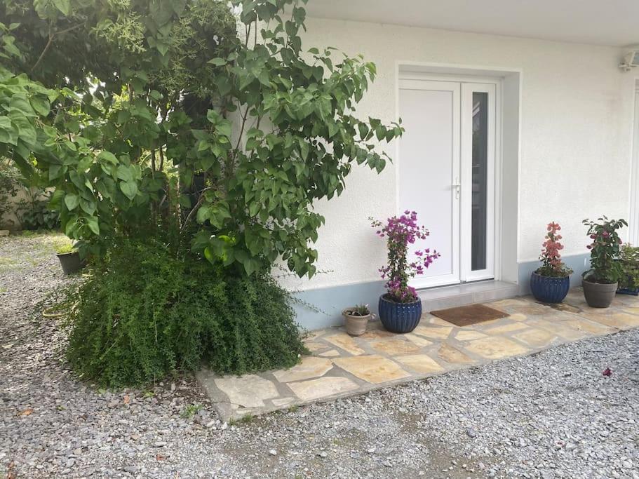 Zenitude Et Proximite Appartement Billere Buitenkant foto